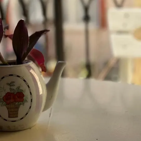 Hotel Cunda Nazimaki Ayvalı